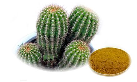 Hoodia gordoni als onderdeel van Reduslim