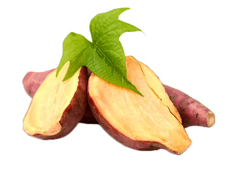 Yacon-wortel in Reduslim